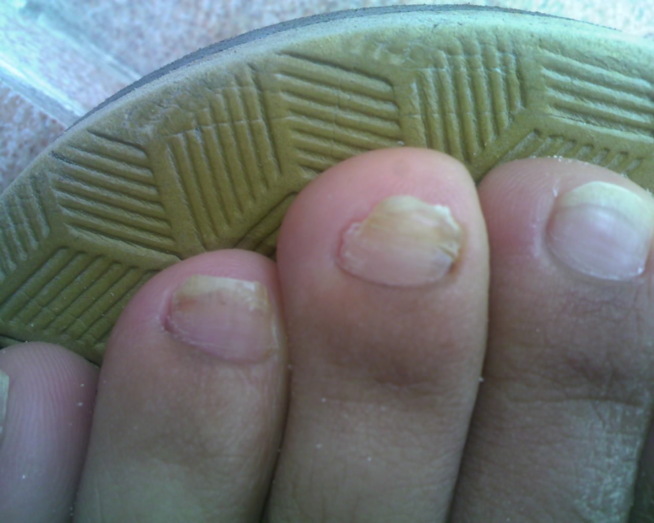 �Լ���ָ����С ��Ⱦ�����´�